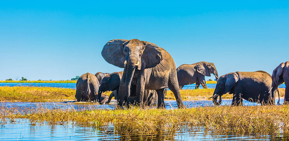 24 Day Namibia & Okavango Discovery With Victoria Falls