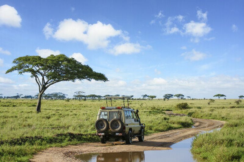 The lush landscapes of the Serengeti National Park.