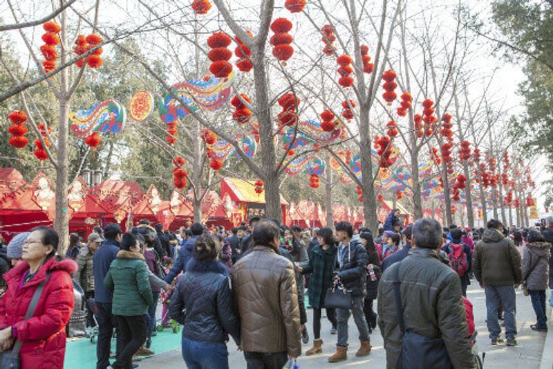 Large red lanterns decorate Ditan Park in Beijing for the Spring Festival.