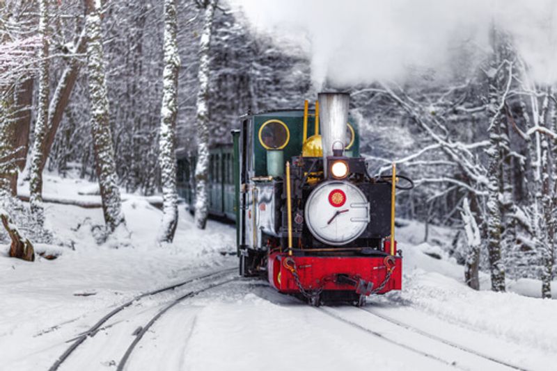 A steam train moves through a snow-covered woodland.