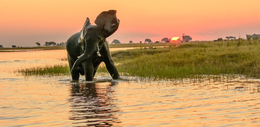 Customers on Tour: Ultimate African Safari - Inspiring Vacations