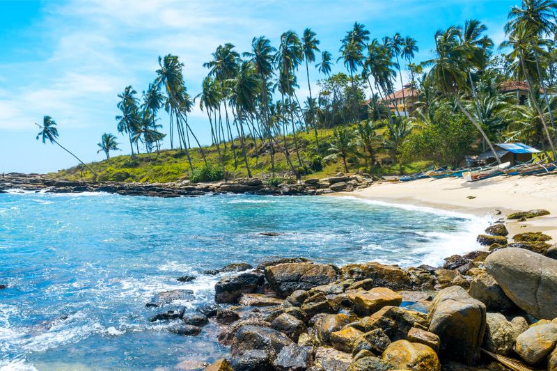 Coconut trees at a pristine tropical beach in Sri Lanka.