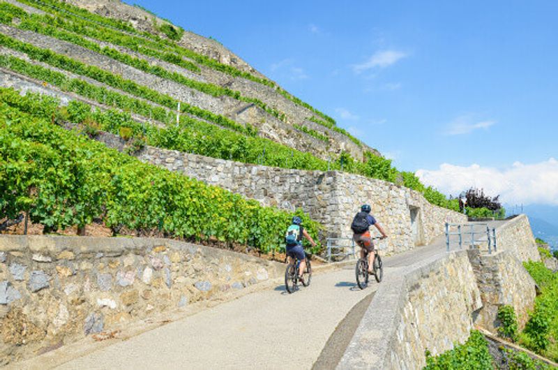 Cyclists on a path along beautiful terraced vineyards on the slopes adjacent to Geneva Lake.