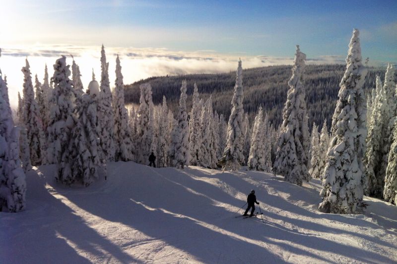 In the crisp white snow, a visitor enjoys skiing in the Silver Star Ski Resort.