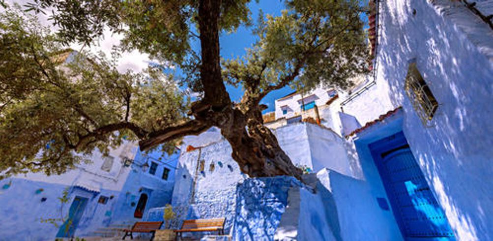 When is the best time to visit Morocco