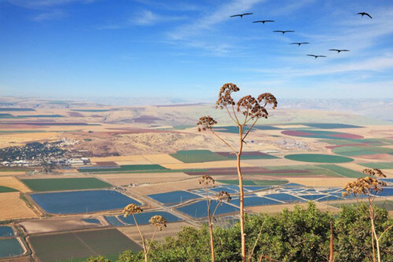 A landscape view of the Israel Valley, Gilboa.