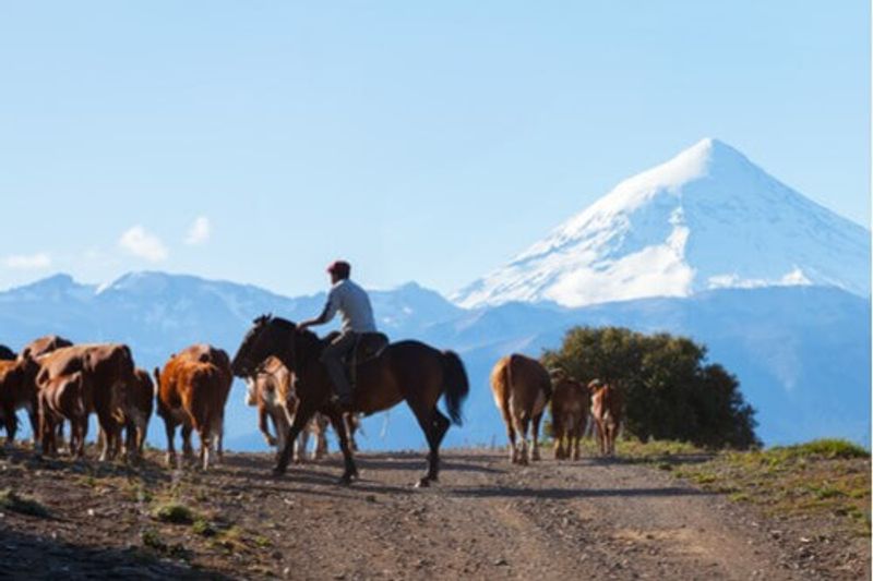 A local Gauchos in Argentina.