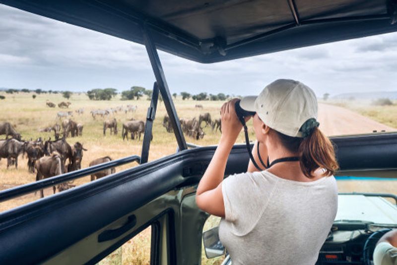 A woman enjoys the safari.