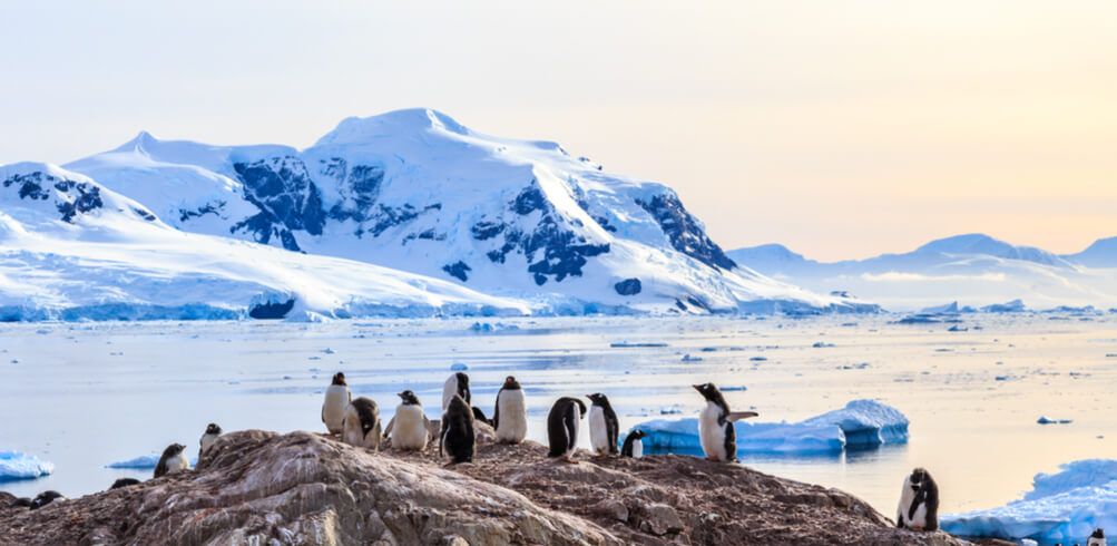 Going to Antarctica? Here's what to watch & read first