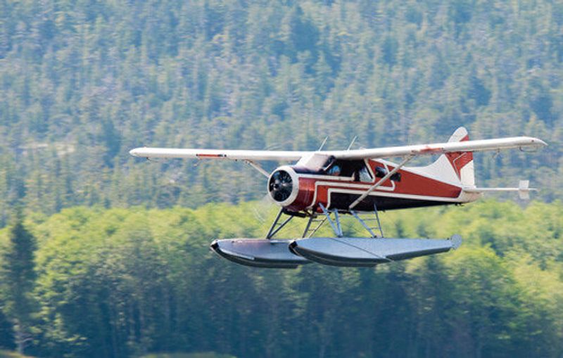 A seaplane flies low to the water with trees in the background.