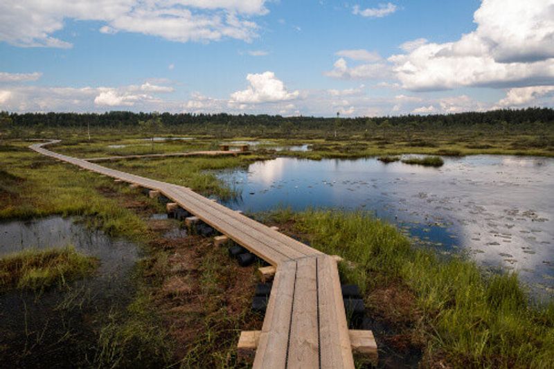 The picturesque view of Sooma National Park.