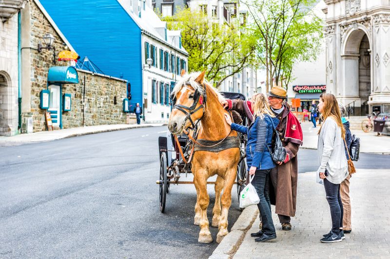 Tourists petting a horse on a horse drawn carriage in the old town of Hotel Chateau Frontenac.
