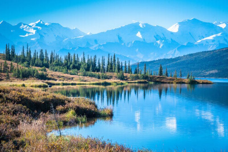 A view of Denali National Park and Wonder Lake.