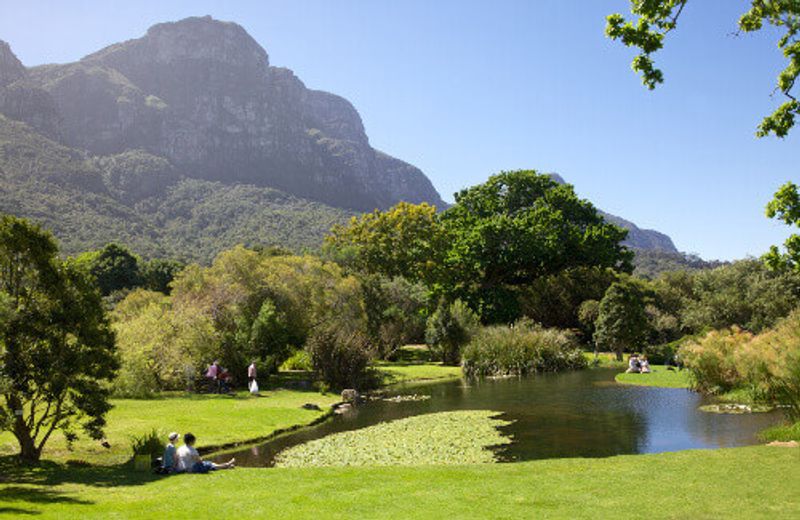 Visitors relaxing in the Kirstenbosch National Botanical Garden.