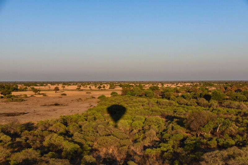 The Okavango Delta in Botswana is a prime place for early-morning hot air balloon trips.