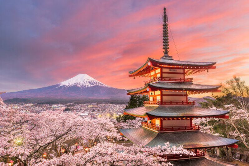 Is this the best view of Mount Fuji? At dusk under a blanket of cherry blossoms