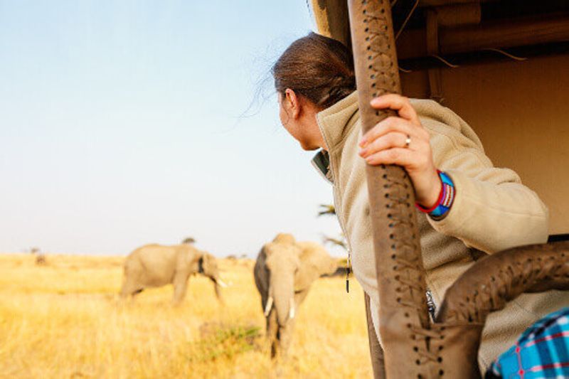 Woman on a safari game drive enjoying a close encounter with elephants in Kenya.