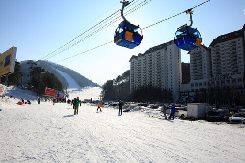 People are enjoying skiing on the ski slopes of the Yongpyong Resort in South Korea
