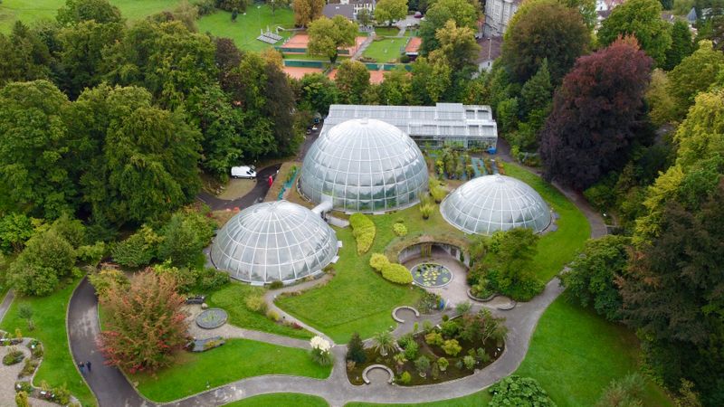 The Botanischer Garten, Zurich