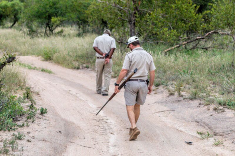 Animal trackers on an African anti poaching safari.