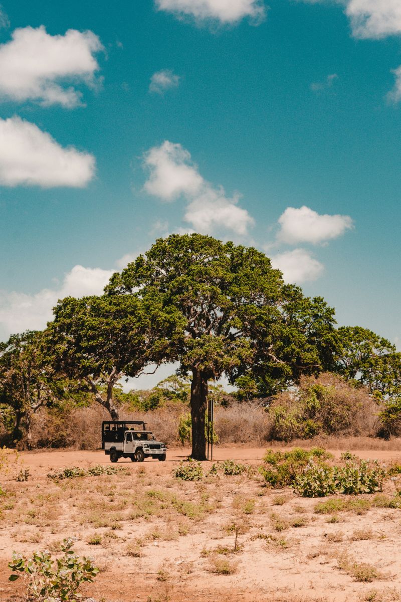 Yala National Park was designated as a wildlife sanctuary in 1900