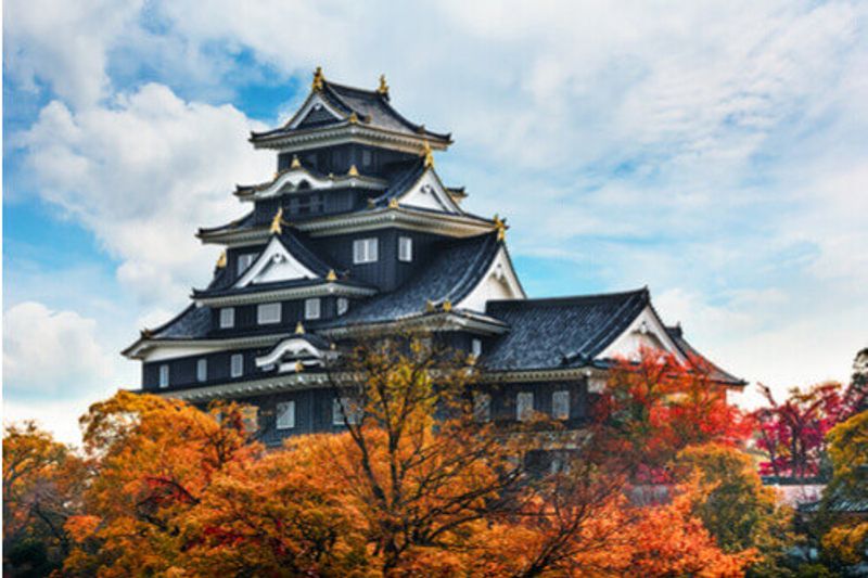 The stunning Okayama Castle, Japan.