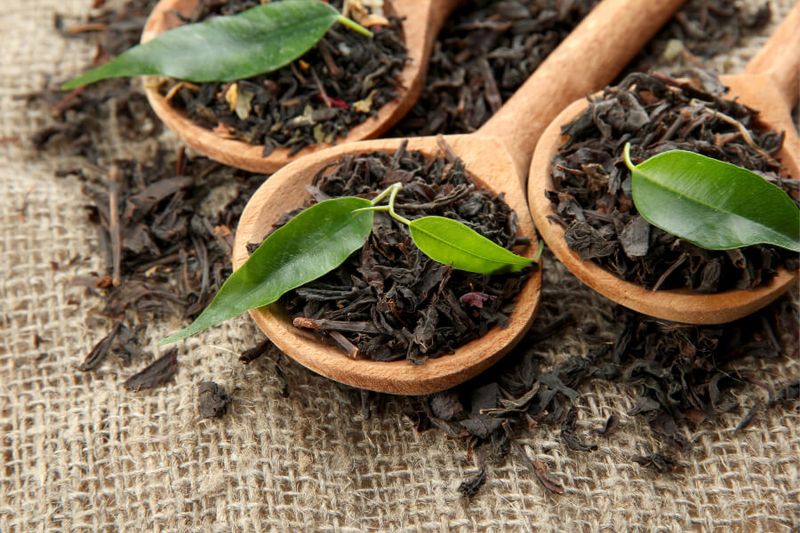 Dried green tea leaves on a burlap sack in Sri Lanka