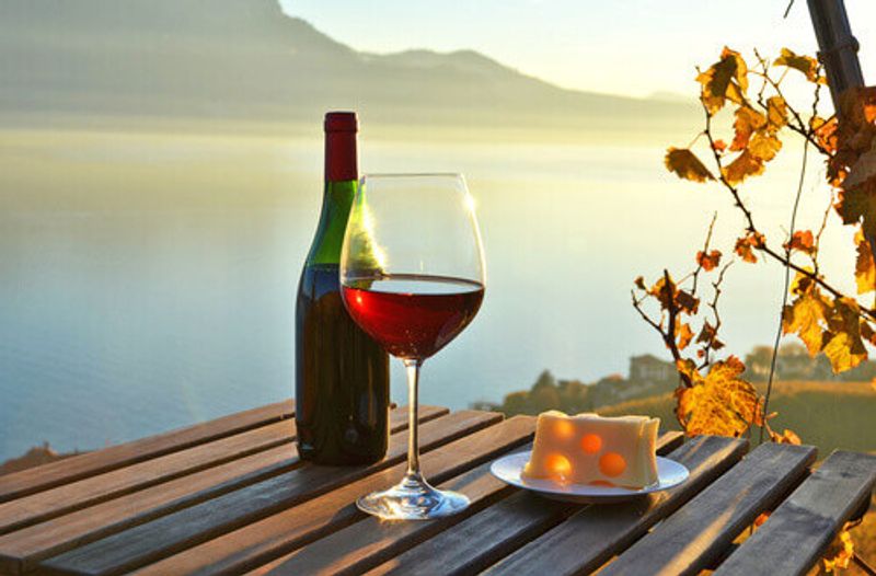 Wine against vineyards in Lavaux, Switzerland.