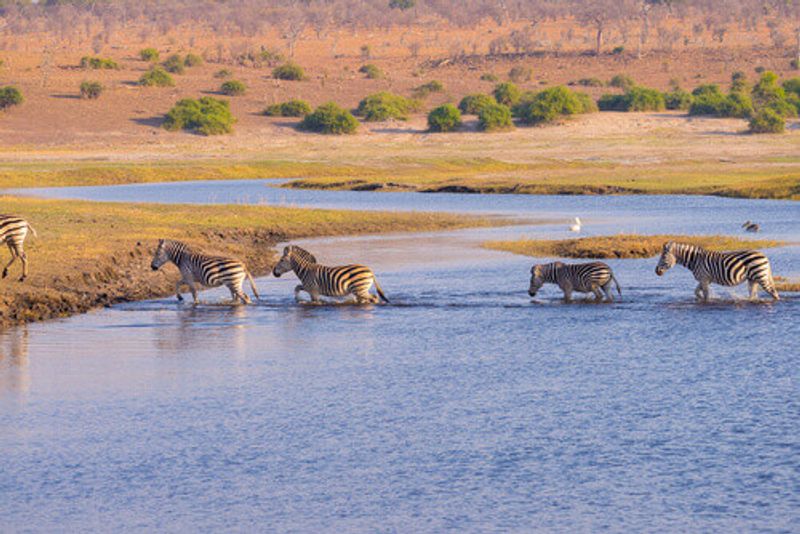 The sun shines on Chobe National Park, which boasts serene nature and wildlife.