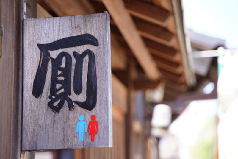A toilet sign in Japan.