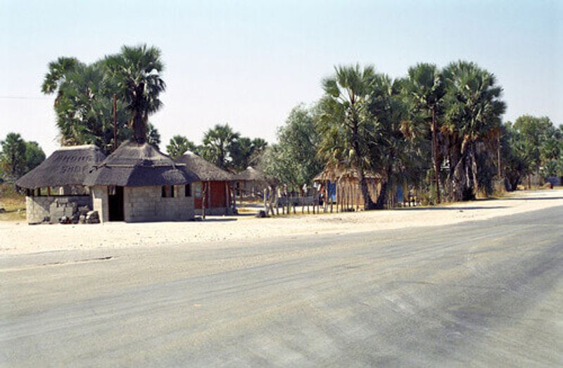 Traditional San huts in Maun.