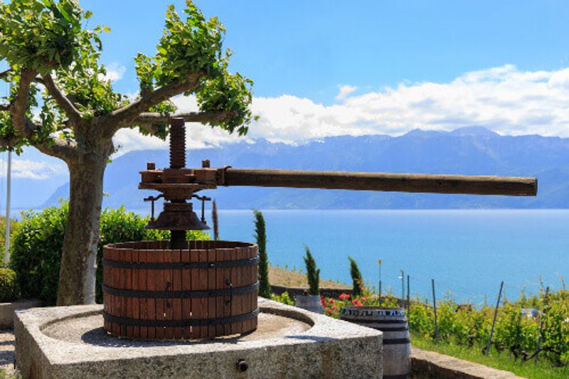 A wine press in a vineyard in the region of Lavaux.