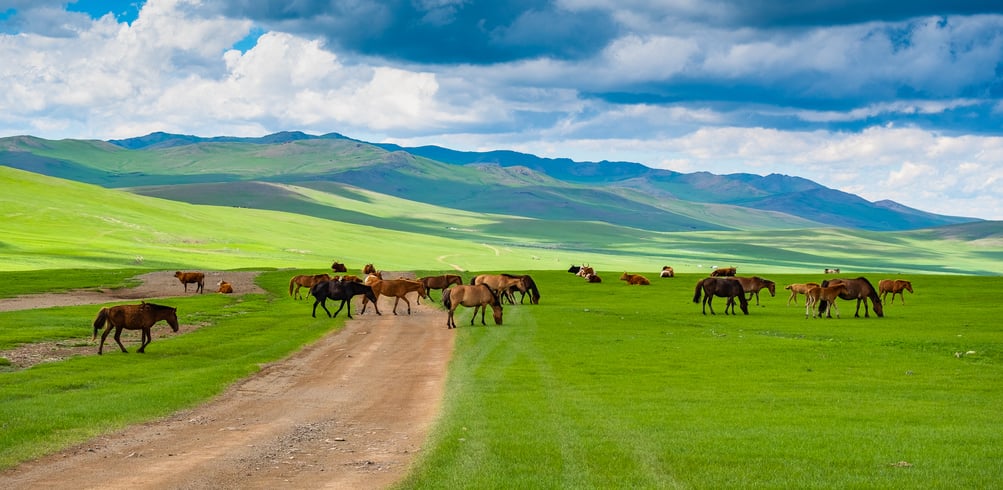 39 Day Timeless Five Stans and Mongolia