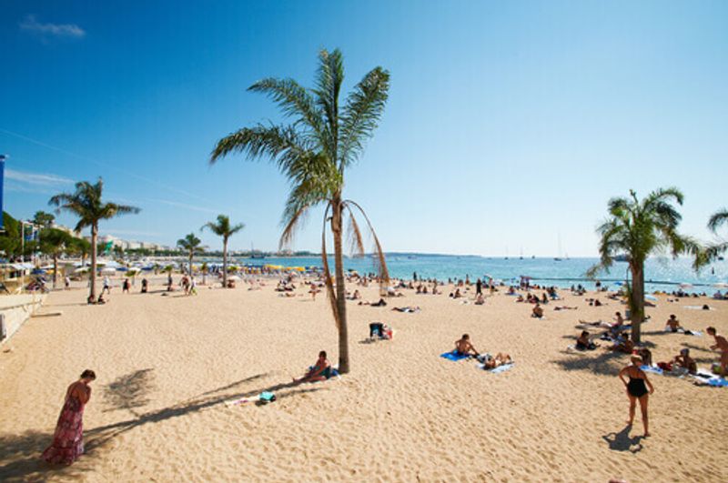 The palm tree lined Barceloneta Beach in Barcelona, Spain.