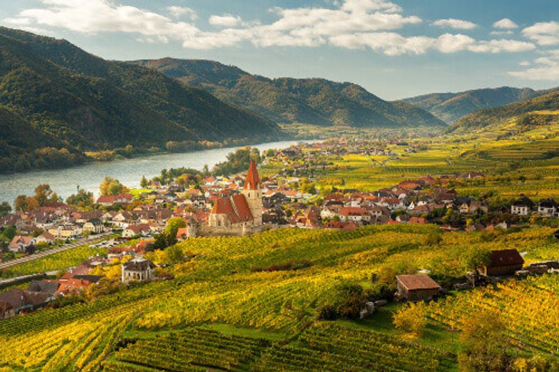 Weissenkirchen Wachau with autumnal leaves and beautiful organic vineyards.