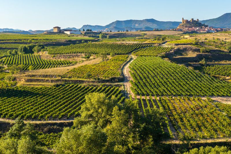 The picturesque La Rioja wine region of Spain.
