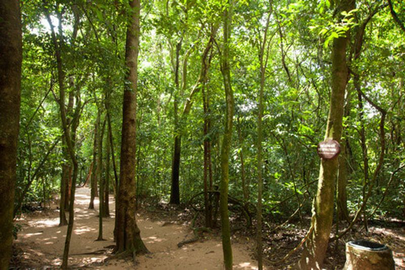 Cu Chi tunnels in Ho Chi Minh City, Vietnam.