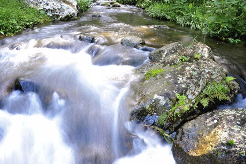 View of the top of Marangu Falls.