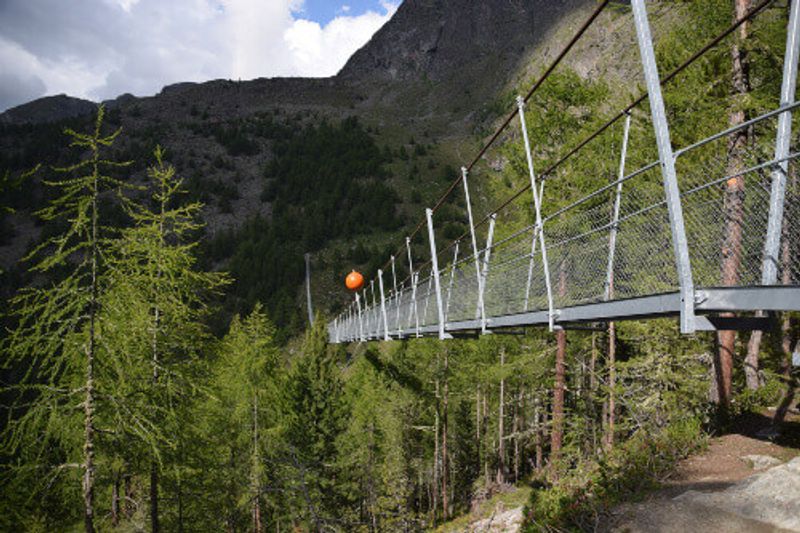 The Charles Kuonen Suspension Bridge. The longest pedestrian suspension bridge in the world.