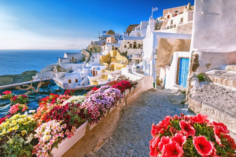 The streets of santorini with caldera, whitewashed buildings and flowers in Greece.