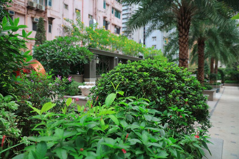 The lush green Wan Chai Spring Gardens.