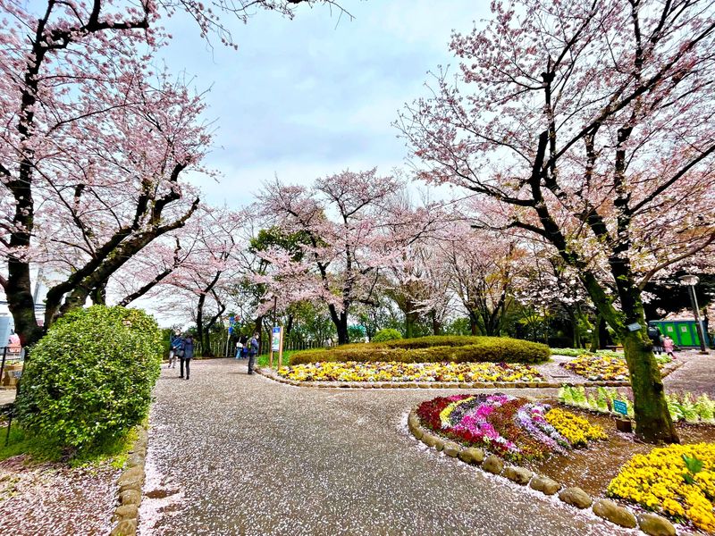 Asukayama Park (Photo: Japan Rail Cafe)