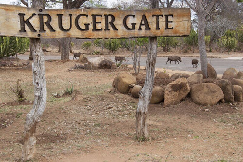 A first timer's guide to Kruger National Park - Inspiring Vacations