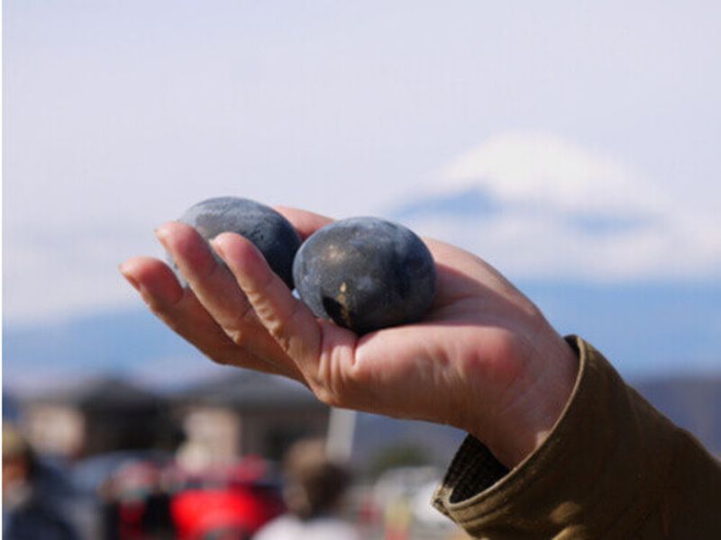 A black egg in Hakone, Japan.