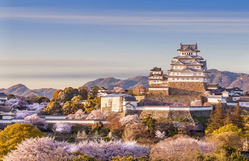 The beautiful Himeji Castle in spring.