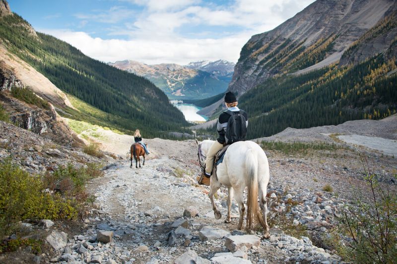 Visitors enjoy horseback riding to the Six Glaciers with Lake Louise below them.