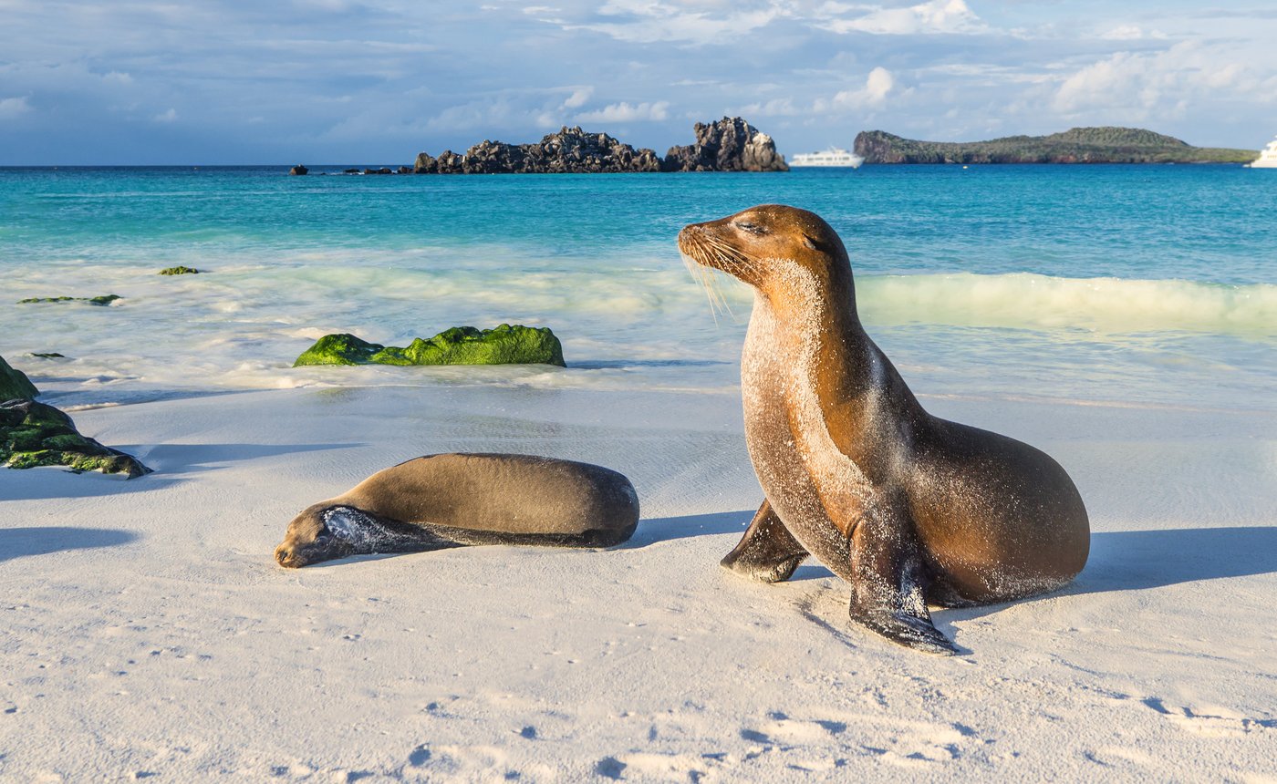 27 Day Complete Peru & Galapagos Small Group Tour