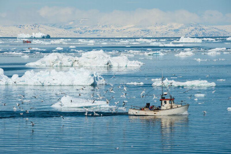 A fisherman's boat in Ilulissat.