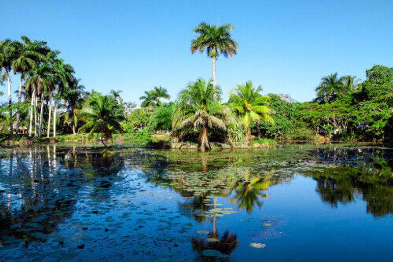 A tropical lake near a crocodile farm at Playa Larga.
