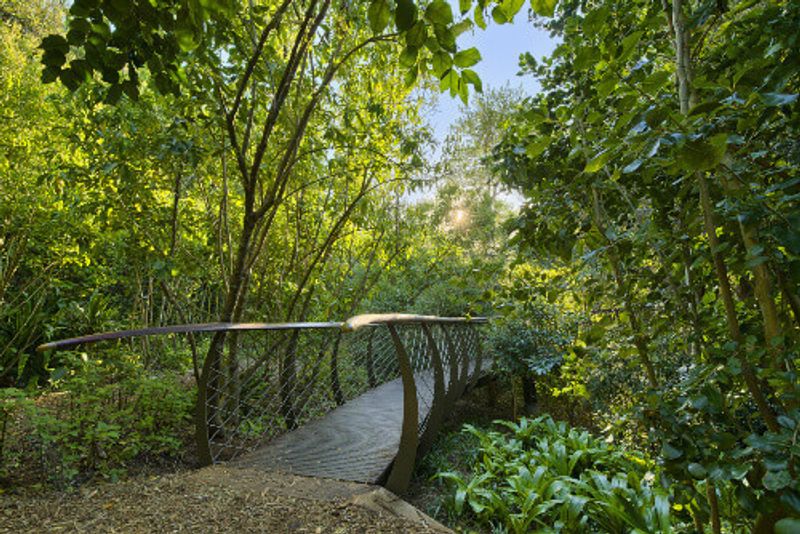 The new tree top canopy walk is a tourist favourite in Kirstenbosch National Botanical Garden.